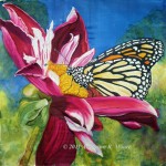 Summertime - 16 x 16 in. Mounted on canvas( SOLD)