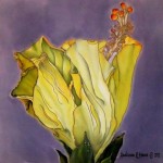 Hibiscus 16 x 16 in. Available mounted, unmounted, or pillow top, use contact form for pricing.