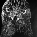 HAWK