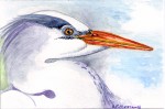 watercolor
