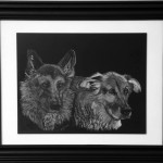Custom Pet Portraits