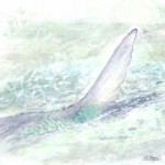 watercolor