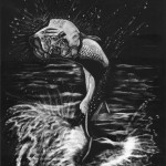 Tarpon