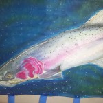 Steelhead Wild Rag