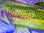 Rainbow Trout Skin