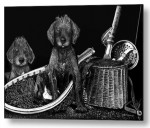 Puppies are ready to go fish